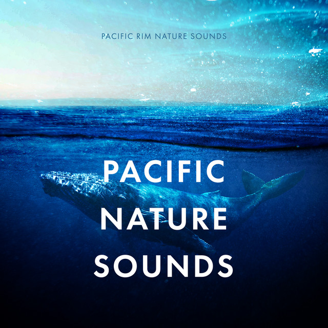 Pacific Nature Sounds - Album by Pacific Rim Nature Sounds | Spotify