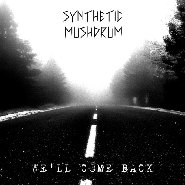 We'll Come Back cover art