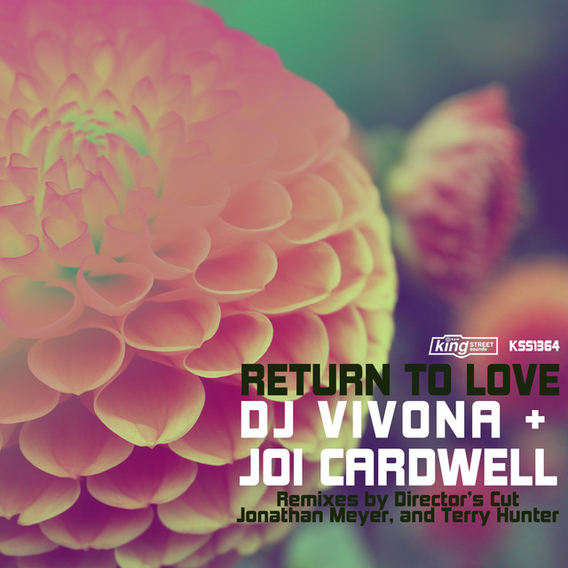 Return to Love - A Directors Cut Treatment cover art