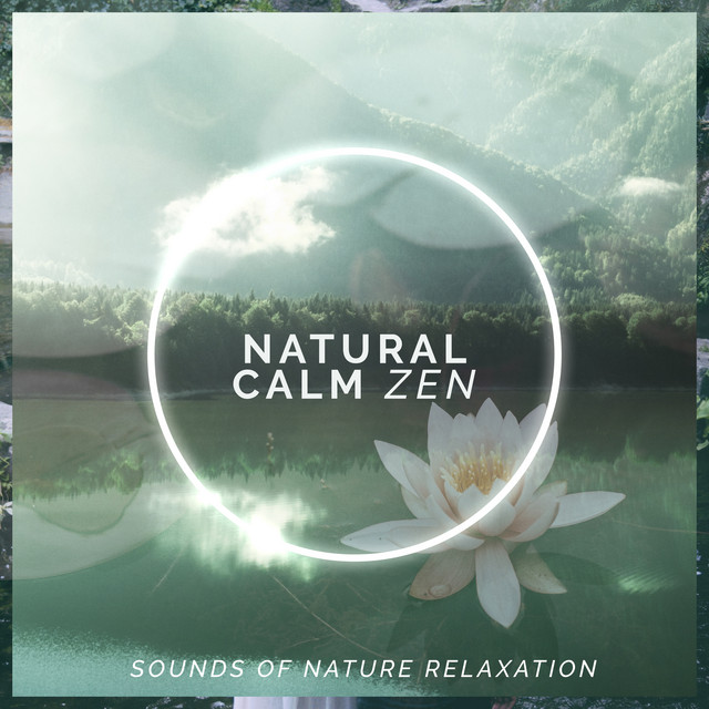 Natural Calm Zen - Album by Sounds of Nature Relaxation | Spotify