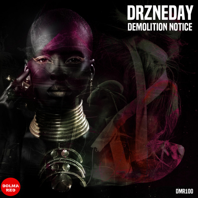 Demolition Notice cover art