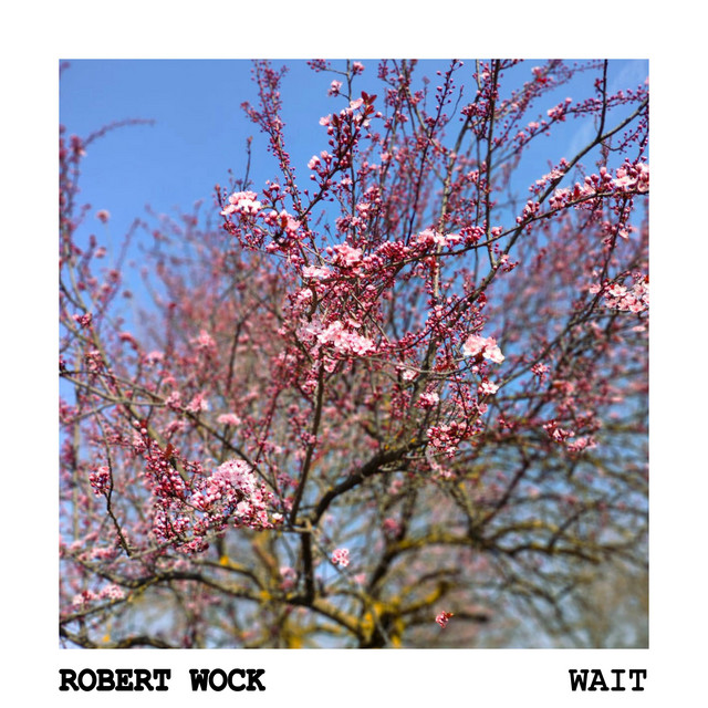 Wait - Single by Robert Wock | Spotify