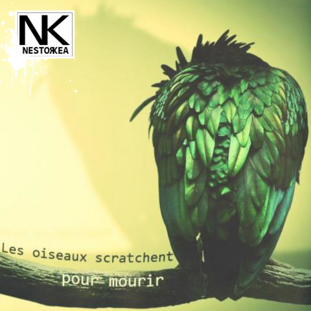 Les Oiseaux Scratchent Pour Mourir cover art