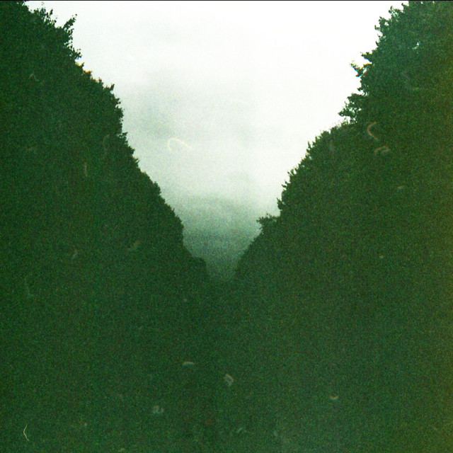 Social Lusts cover art