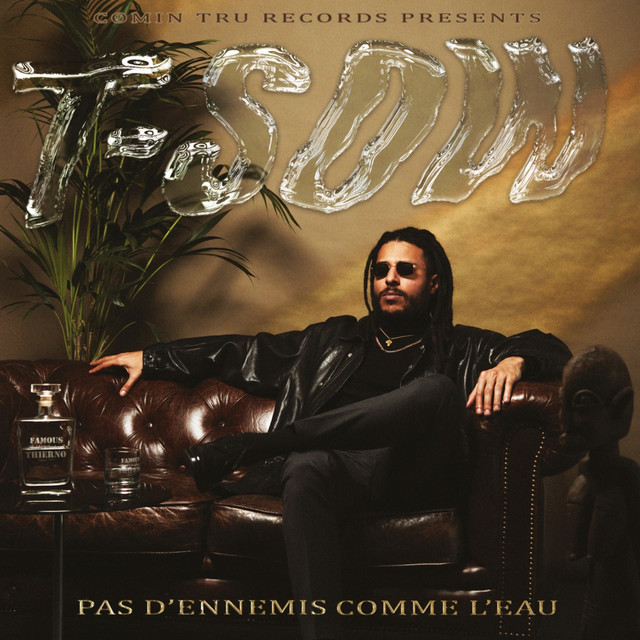 Pas d'ennemis comme l'eau cover art