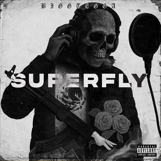 SUPERFLY cover art