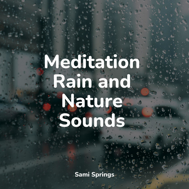 Meditation Rain and Nature Sounds - Album by Sleep Meditation Dream ...