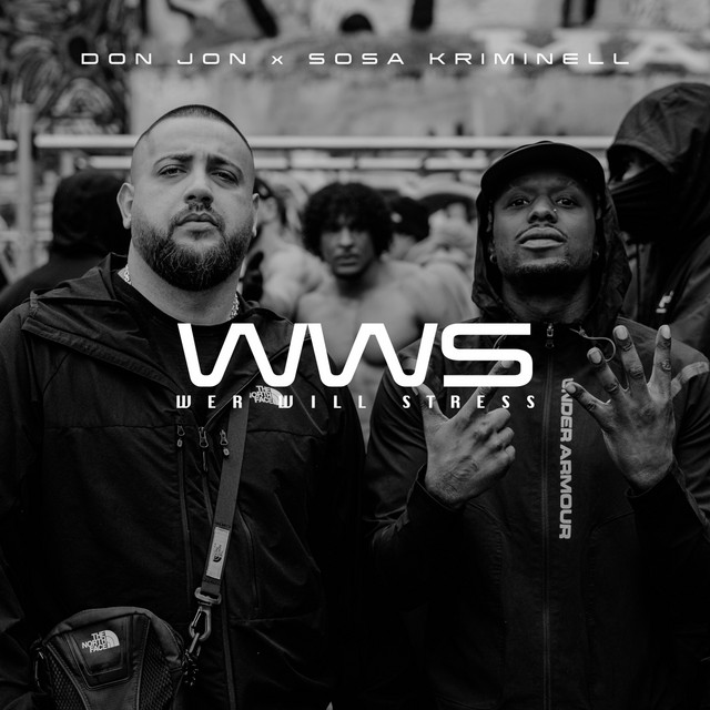 Wer will stress ? cover