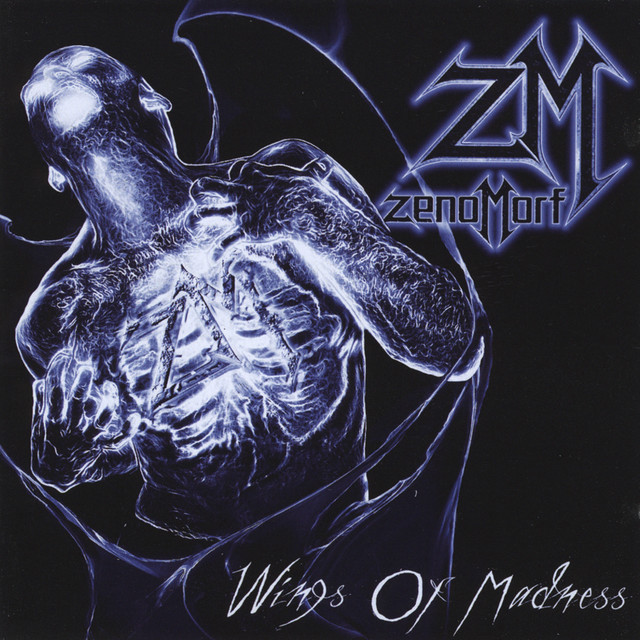 Wings of madness cover art