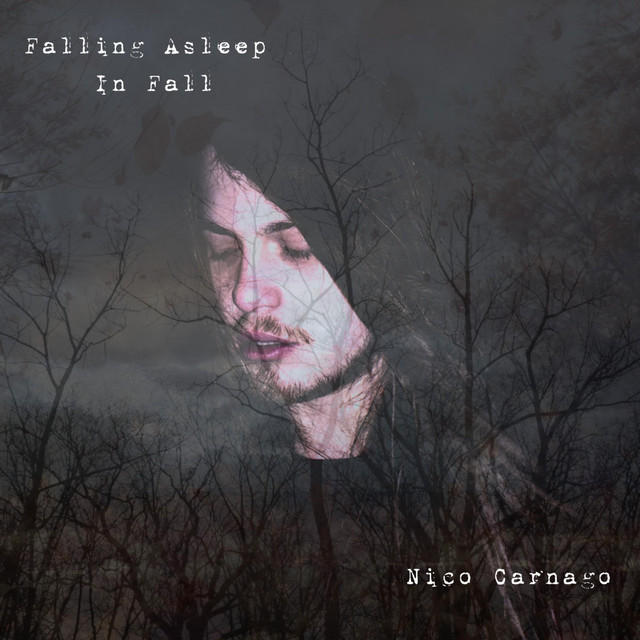 Falling Asleep In Fall cover art