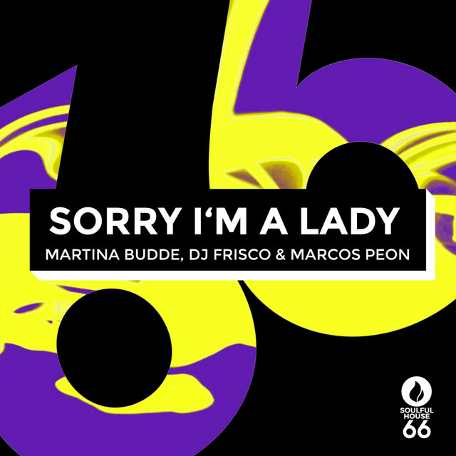 Обкладинка Dj Frisco — Sorry I'm A Lady