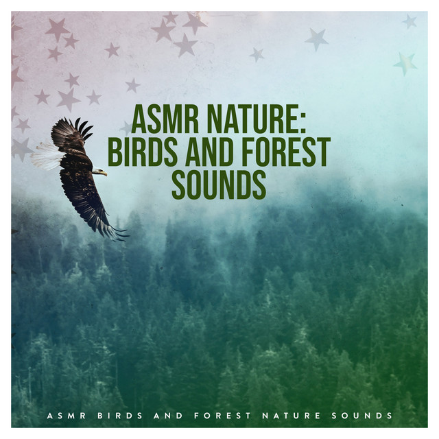 ASMR Nature: Birds and Forest Sounds - Album by ASMR Birds and Forest ...