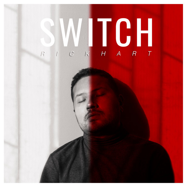Switch cover art