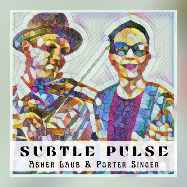 Subtle Pulse - song and lyrics by Asher Laub, Porter Singer | Spotify