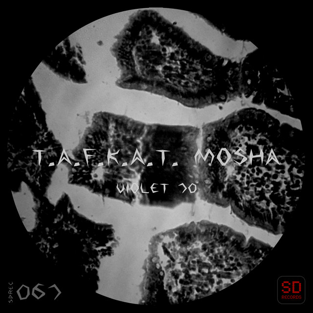 Violet 70 cover art