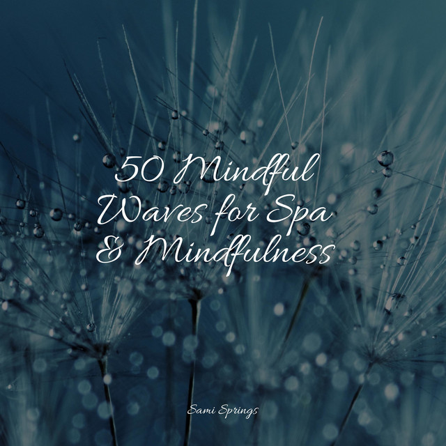 50 Sounds of Rain for Meditation and Sleep - Album by Sounds Of Nature ...