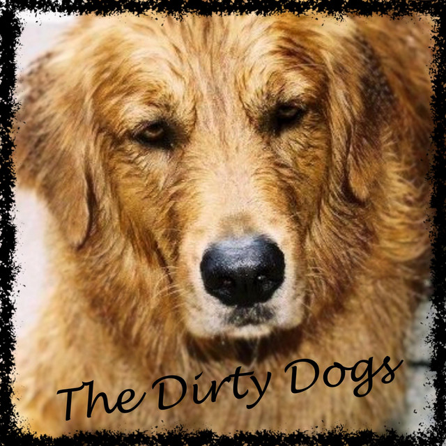 The Dirty Dog Photo