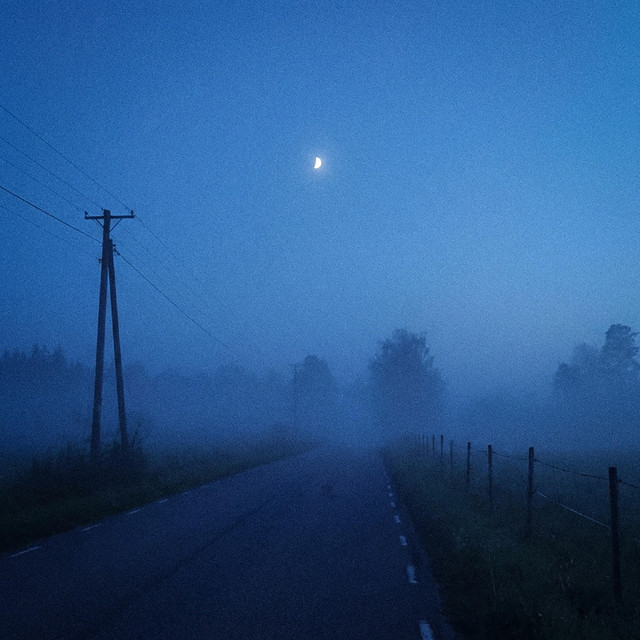 pale moonlight
