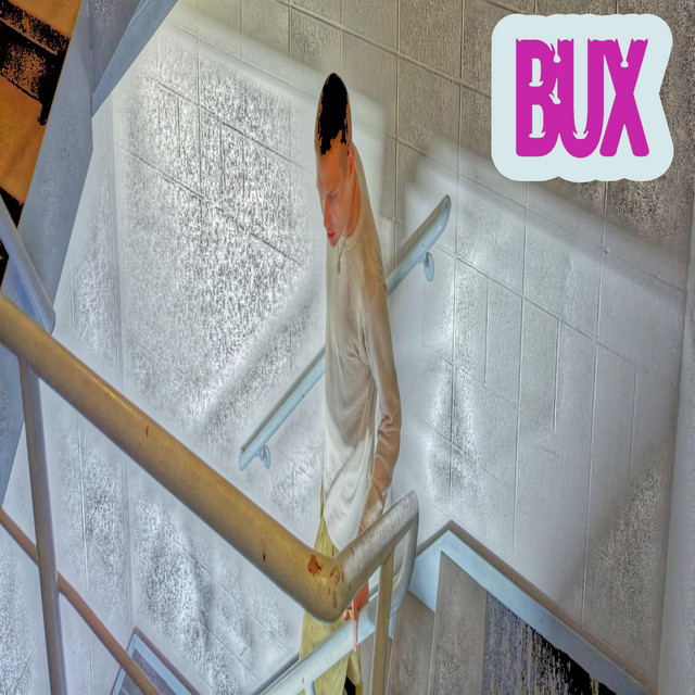Bux County cover art