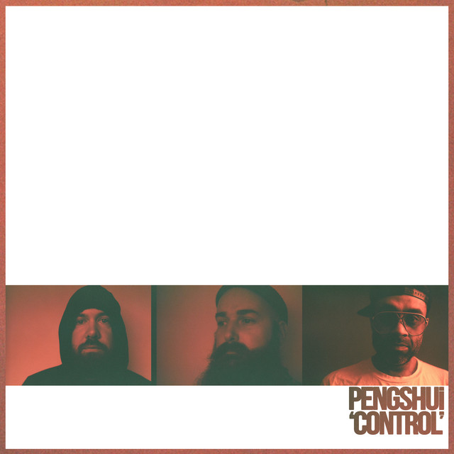Control cover art