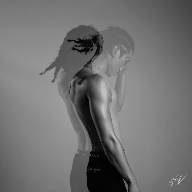 Shim Hyun Bo cover art