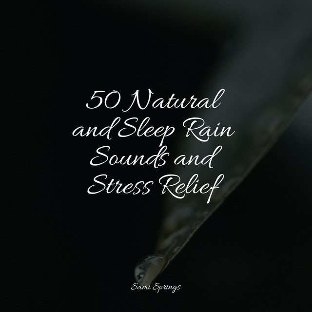 50 Natural and Sleep Rain Sounds and Stress Relief - Album by Nature ...