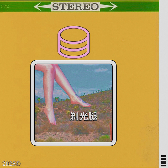 shaved legs cover art