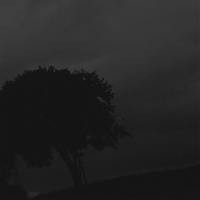 day like everyday cover art