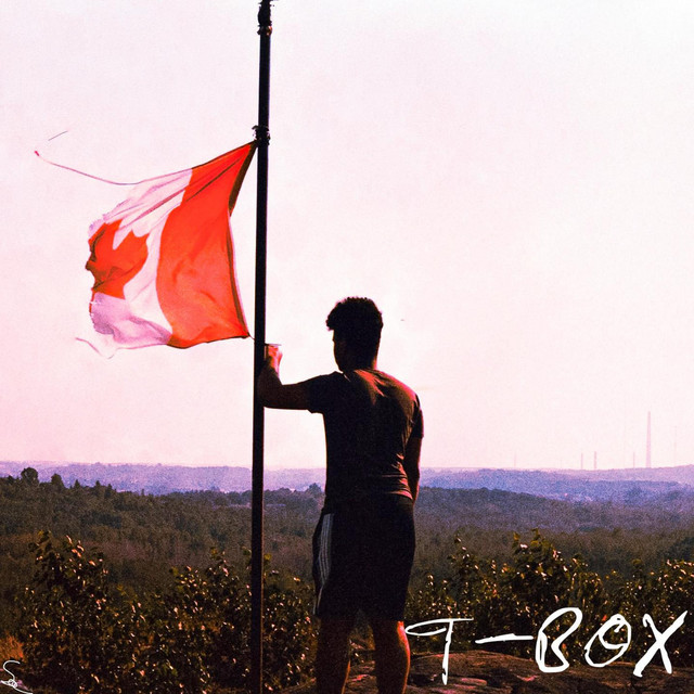 T-BOX