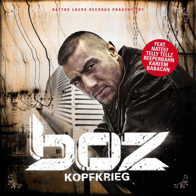 Boz Ich Brauch Dich Nicht Lyrics