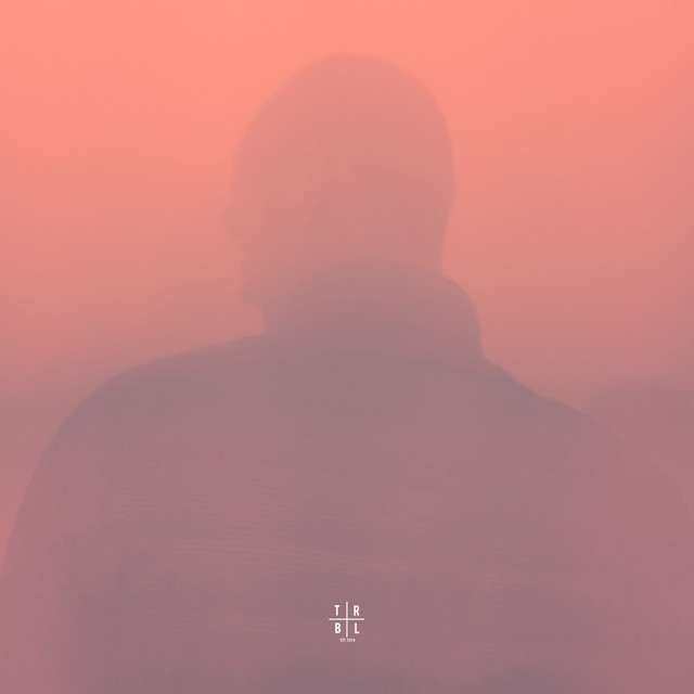 Обкладинка: Desolation — Willix