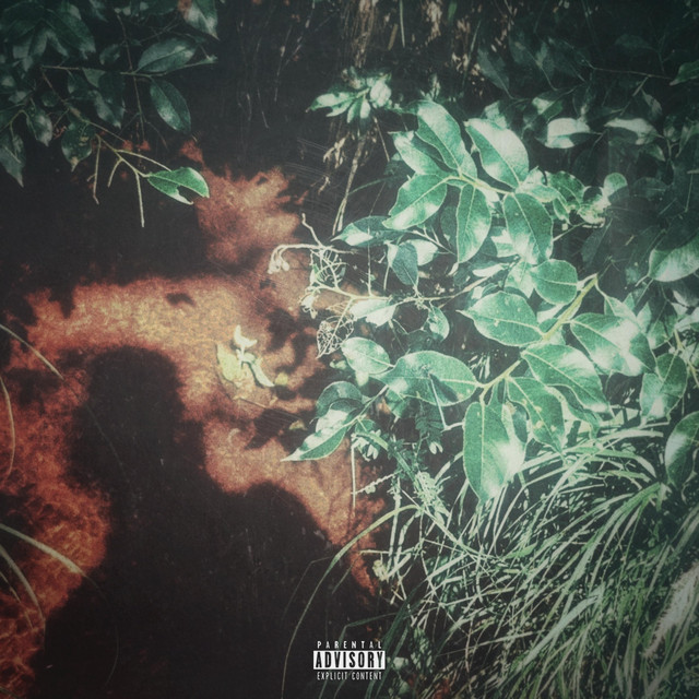 Blank cover art