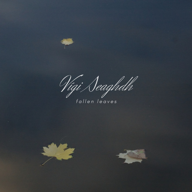Fallen Leaves by Vígi Seaghdh