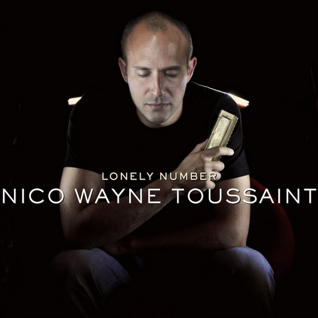 Lonely Number cover art