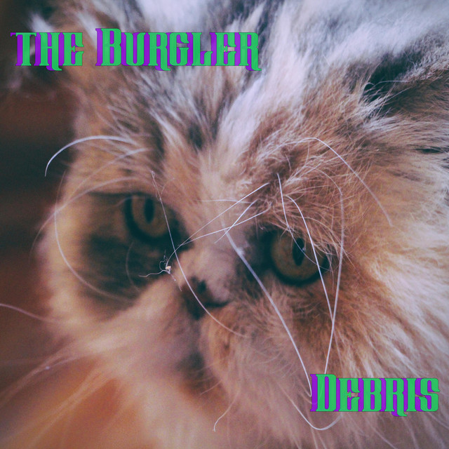 The Burgler – Debris