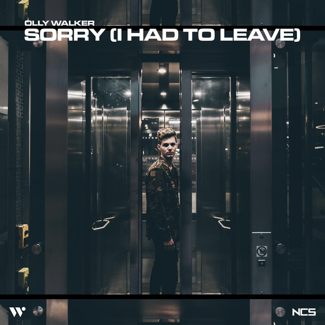 Sorry (I Had To Leave) cover