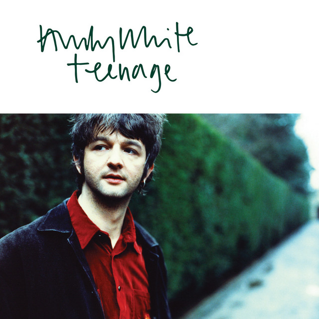 Teenage cover art