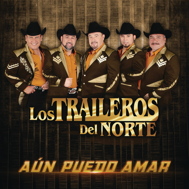 Aún Puedo Amar cover art
