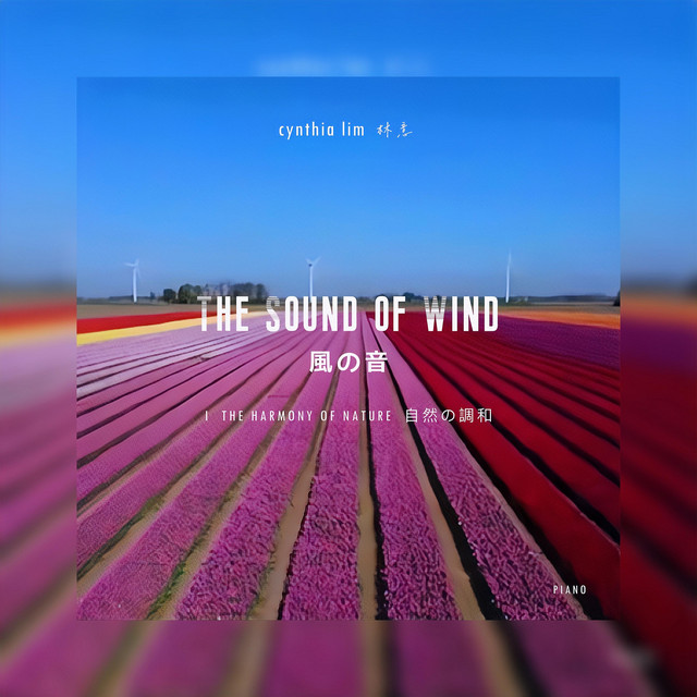 The Sound Of Wind - Piano