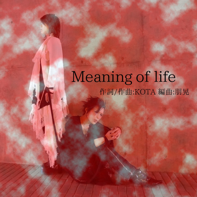 Meaning of life song and lyrics by KOTA Spotify