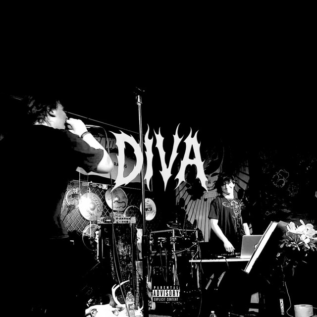DIVA cover art