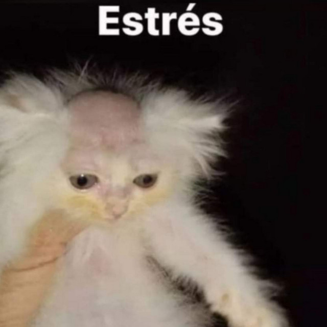 No M Siento Bn cover art