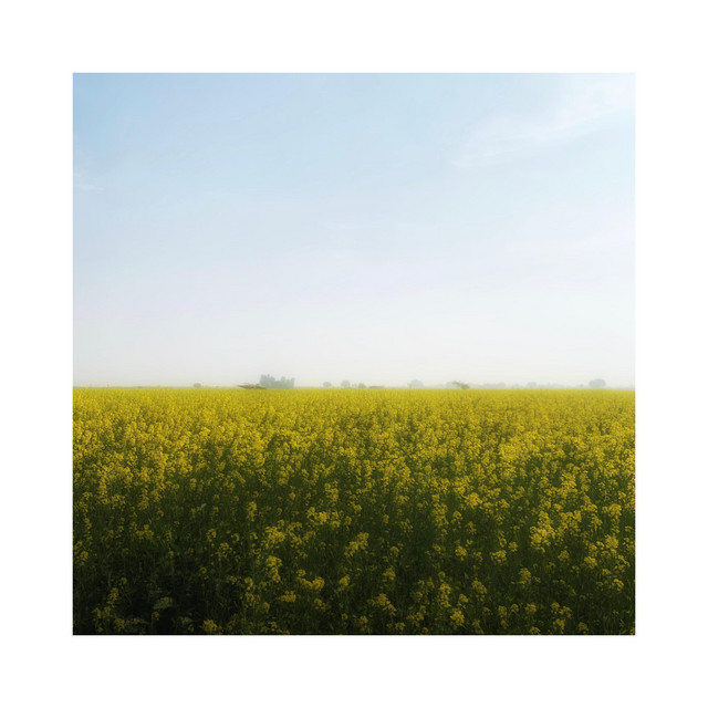 Tuu album image