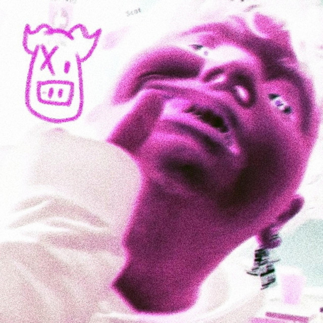 Chanchito 1.5 cover art