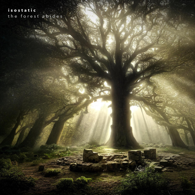 The Forest Abides cover art