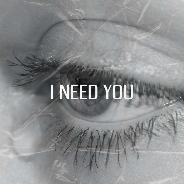 I Need You - Single by DanielBRS | Spotify