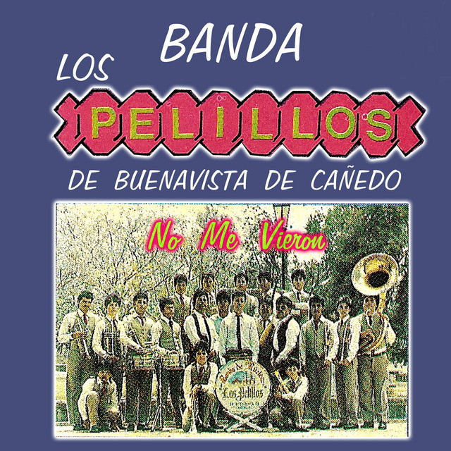 No Me Vieron cover art