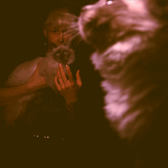 Breakdown cover art