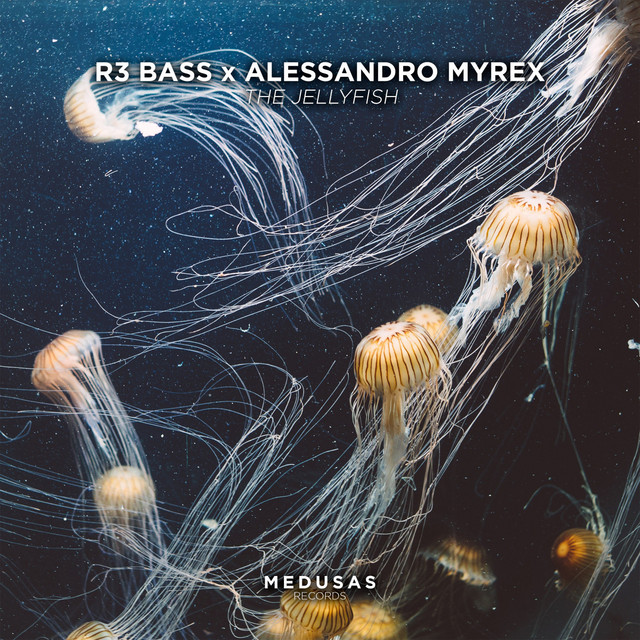 Обкладинка: The Jellyfish — R3 Bass