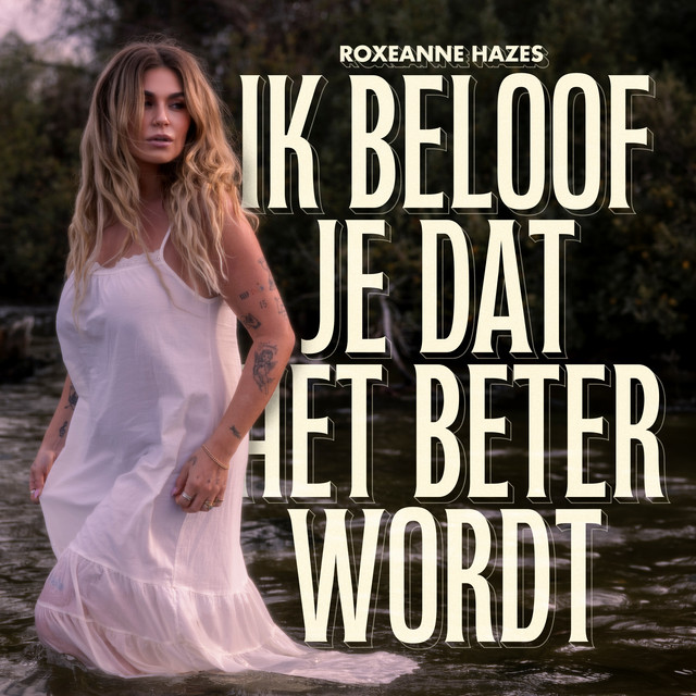 Ik Beloof Je Dat Het Beter Wordt cover art